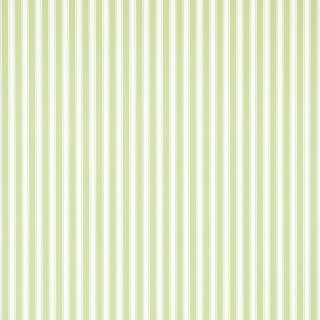 White wall green stripe pattern - a white vase free wallpaper