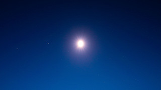 Bright moonlight snow field tree - bright free wallpaper