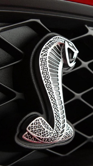 Car emblem snake grille red - feature free wallpaper