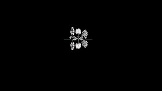Snowflake blackwhite mandelbrot fractal deconstructivism - mandelbrot fractal free wallpaper