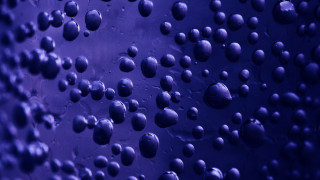 Water droplets window purple blue - a close up of a bunch free wallpaper