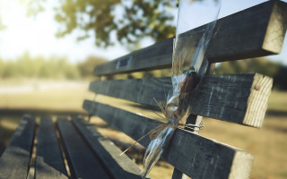 Wooden bench glass backend tree - a wooden bench free wallpaper