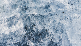 Blue water rocks bird photorealism - an gyeon free wallpaper for desktop