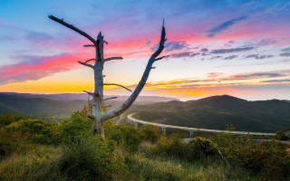 Tree grass road mountains sunset - dennis ashbaugh free wallpaper for desktop