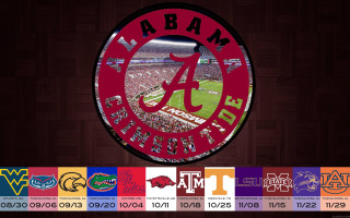 Stadium logo footballfield daualset poster - a poster free wallpaper for desktop