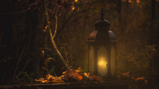 Lantern forest embers fire flame - the ground and a tree in the background free wallpaper