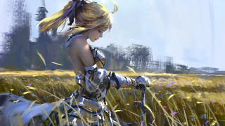 Woman field gun dog sky - a woman in a field free wallpaper