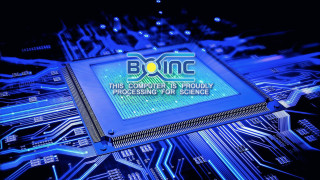 Biotic computer chip circuit board - a computer chip free wallpaper