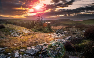 Rocky path sunset tree clouds - a tree in the distance free wallpaper