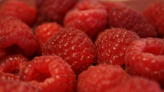 Raspberries bowl water spoon macro - a close up of a bunch free wallpaper