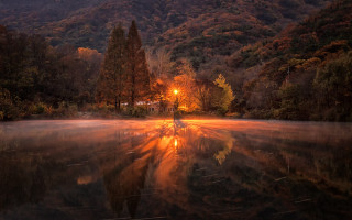 Lake mountain forest embers fire - night free wallpaper