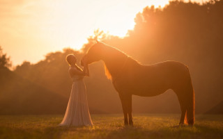 Woman dress horse sunset backlit - a horse in a field free wallpaper