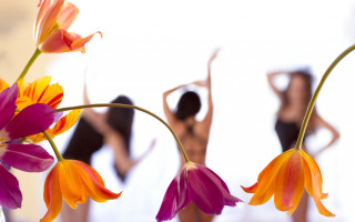 Women flower vase summer butterfly - a vase free wallpaper