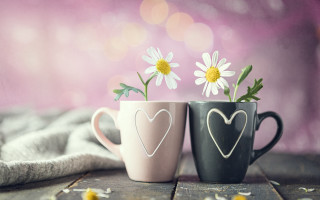 Coffee cups flowers table blanket - morning free wallpaper