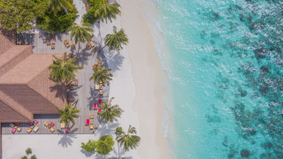 Beach house trees water boat - a boat in the distance free wallpaper