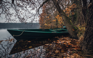 Green boat water tree leaves - free ship wallpaper for desktop