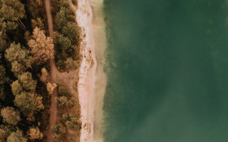 Beach sandy shore trees lake - sandy free wallpaper