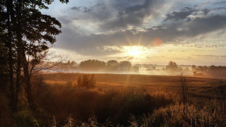Field trees fog sunrise mountain - the cloud and the sun free wallpaper