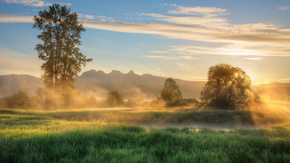 Field trees mountain sunbeam foggy - a sunbeam in the foreground free wallpaper
