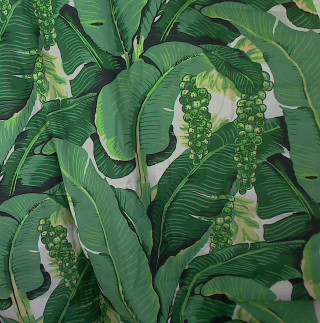 Green plant leaves wallpaper green - a green plant free wallpaper