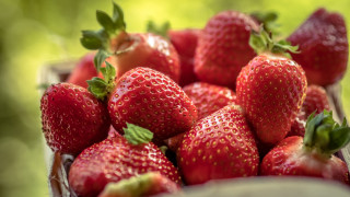 Strawberries basket blurry background impressionism - a blurry background of trees and grass free wallpaper