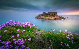 Castle island ocean purple flowers - a small island in the middle of the ocean free wallpaper