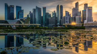 City skyline lake lily pads - the foreground and a sunset in the background free wallpaper