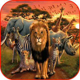 Group animals dirt road together - a group of animals free wallpaper