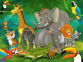 Animals grass jungle bird giraffe - the jungle free wallpaper