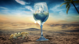 Wine crab beach sunset palm - a crab free wallpaper