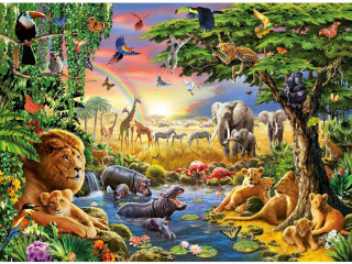 Animals jungle rainbow background sky - chris labrooy free wallpaper