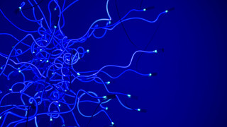 Blue wires lights clock bruce - the middle of it free wallpaper