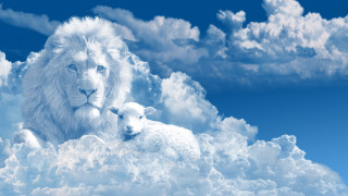 Lion lamb cloud sky mountains - sky free wallpaper