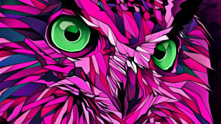 Colorful owl green eyes purple - this image free wallpaper