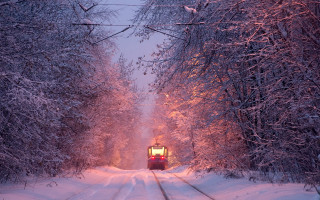 Snowy forest train night magic - forest free wallpaper
