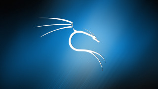 White dragon blue background lines - a white dragon free wallpaper