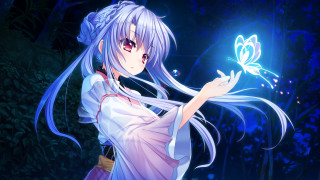 White haired woman butterflies bamboo - her hand and a butterfly free wallpaper