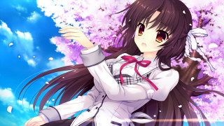 Girl white shirt pink flower - a blue sky free wallpaper