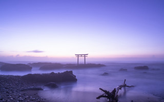 Lone tree stump rocky beach - a lone tree free wallpaper