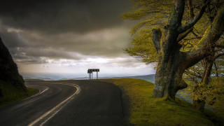 Road sign tree cloudy sky - the side of it free wallpaper