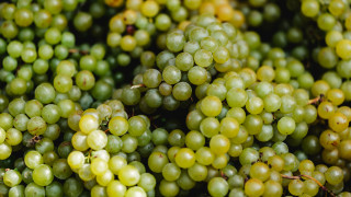 Green grapes christmas bokeh still - a bunch of grapes free wallpaper