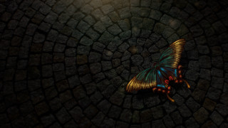 Butterfly stone floor night light - octane renderer free wallpaper
