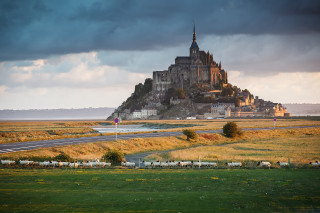 Castle tower field sheep grazing - sheep free wallpaper