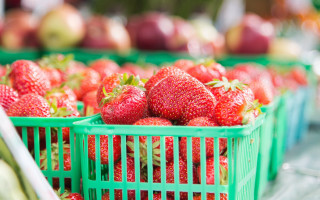 Strawberries basket display case precisionism - delaunay free wallpaper