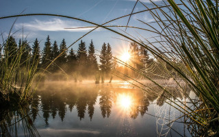 Sunset lake fog trees ferriswheel - a sun free wallpaper
