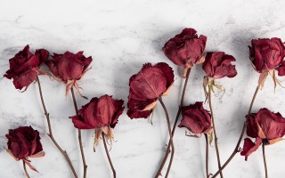 Red flowers white table marble - a white table top free wallpaper