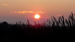 Sunset trees grass clouds mountain - a sunset free wallpaper