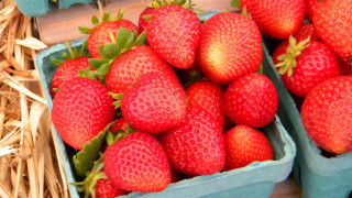 Strawberry basket precisionism berry food - ripe free wallpaper