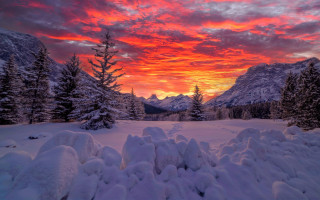 Sunset snowy mountain trees urban - a sunset over a snowy mountain free wallpaper