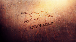 Dopamine brown substance light window - analytical free wallpaper
